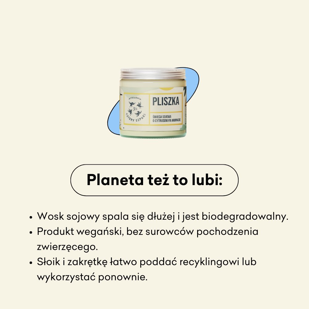 Pliszka - cytrusowa świeca sojowa